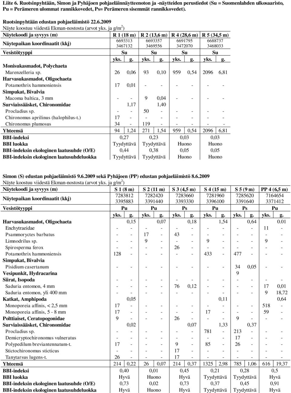 Ruotsinpyhtään edustan pohjaeläimistö 22.6.2009 Näyte koostuu viidestä Ekman-nostosta (arvot yks.