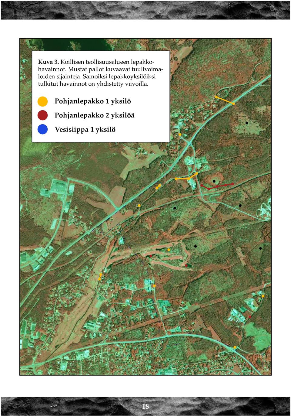 Samoiksi lepakkoyksilöiksi tulkitut havainnot on yhdistetty