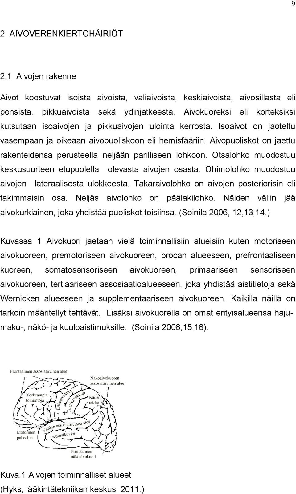 Aivopuoliskot on jaettu rakenteidensa perusteella neljään parilliseen lohkoon. Otsalohko muodostuu keskusuurteen etupuolella olevasta aivojen osasta.