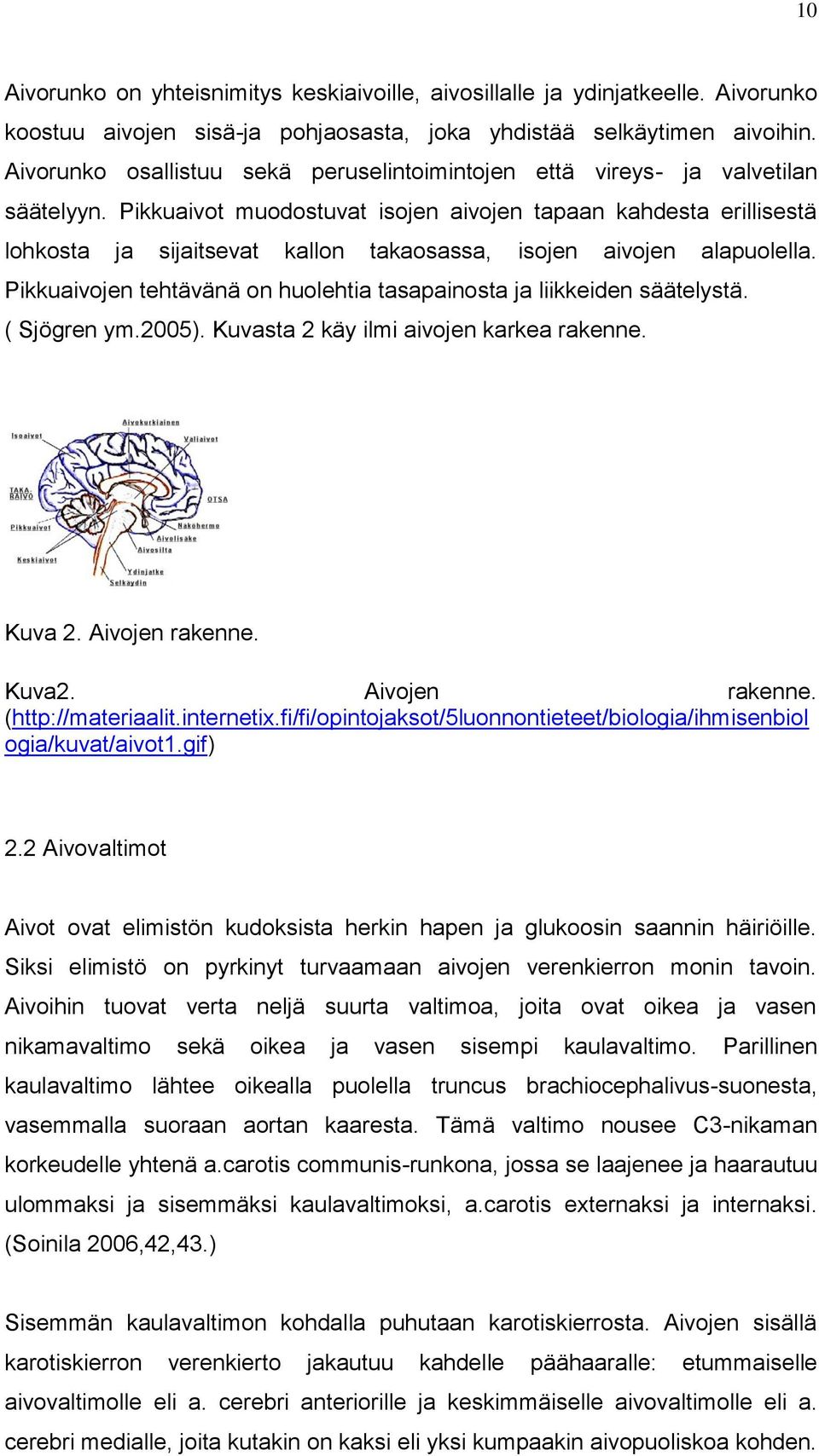 Pikkuaivot muodostuvat isojen aivojen tapaan kahdesta erillisestä lohkosta ja sijaitsevat kallon takaosassa, isojen aivojen alapuolella.