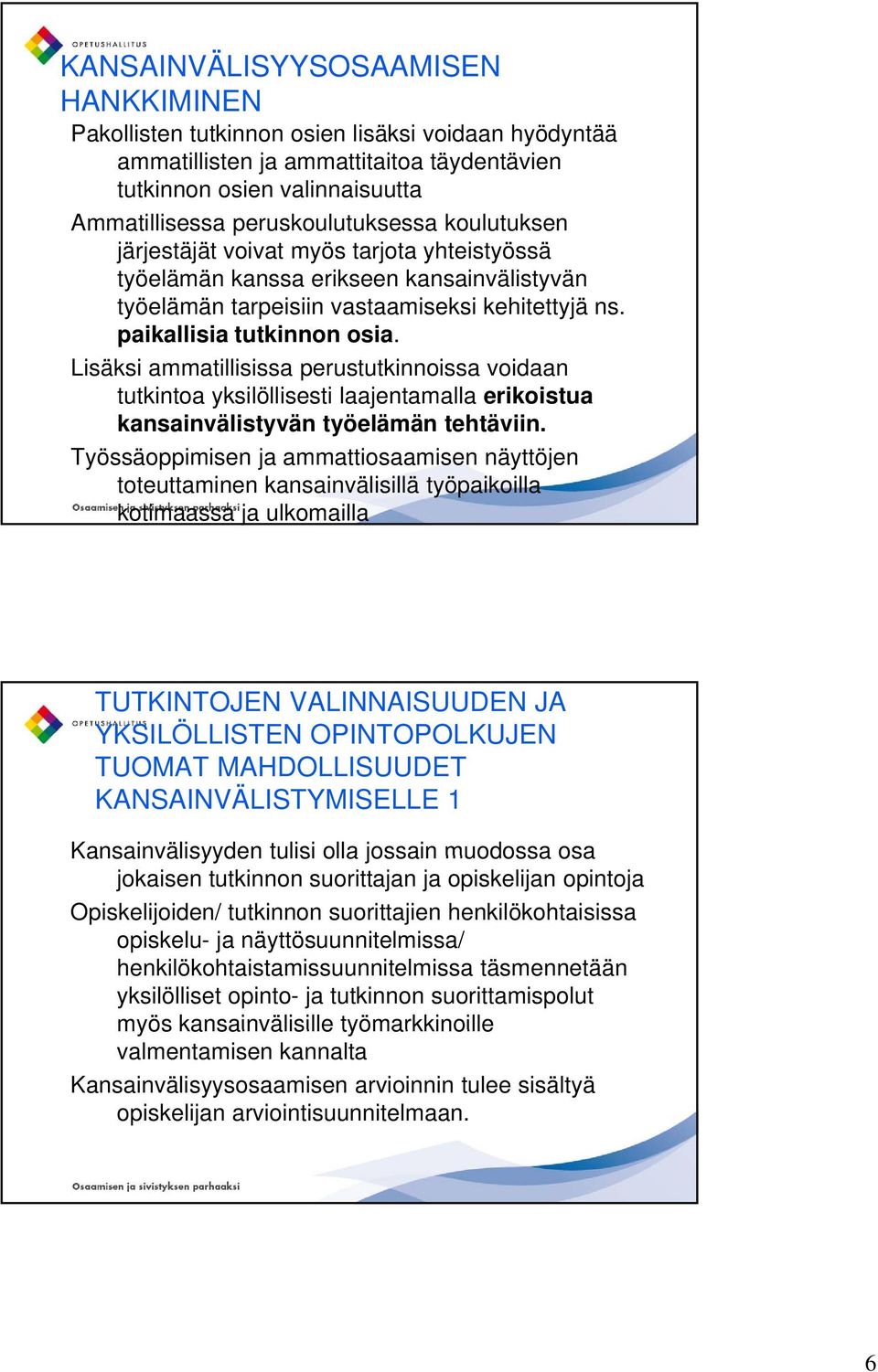 Lisäksi ammatillisissa perustutkinnoissa voidaan tutkintoa yksilöllisesti laajentamalla erikoistua kansainvälistyvän työelämän tehtäviin.