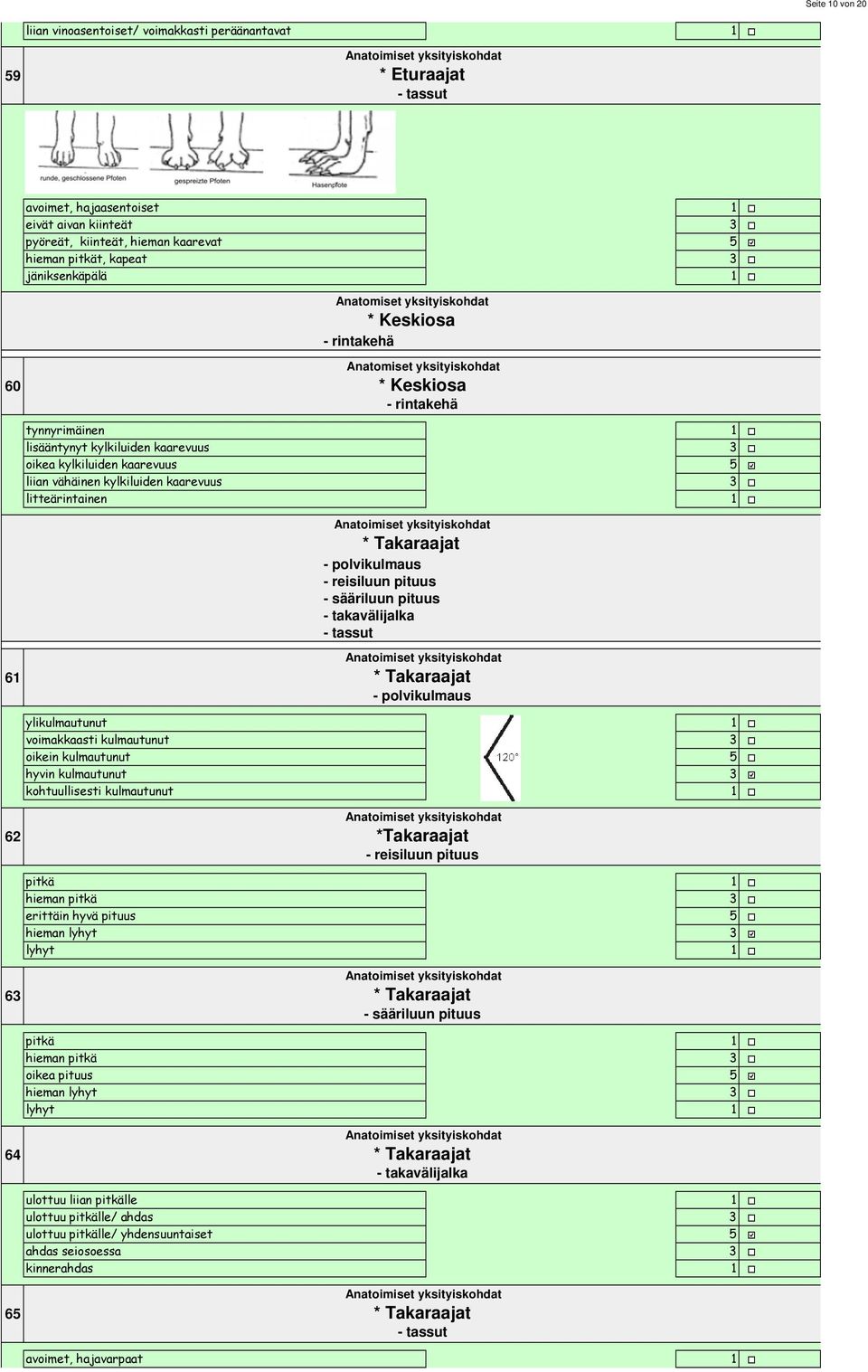 vähäinen kylkiluiden kaarevuus litteärintainen 6 * Takaraajat - polvikulmaus - reisiluun pituus - sääriluun pituus - takavälijalka - tassut * Takaraajat - polvikulmaus ylikulmautunut voimakkaasti