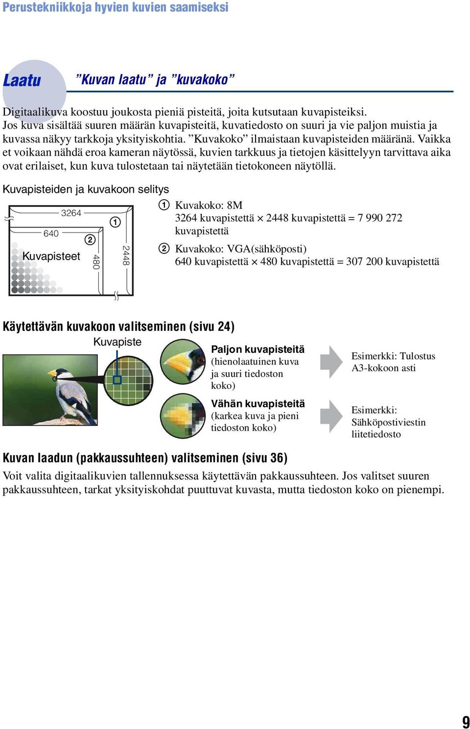 Vaikka et voikaan nähdä eroa kameran näytössä, kuvien tarkkuus ja tietojen käsittelyyn tarvittava aika ovat erilaiset, kun kuva tulostetaan tai näytetään tietokoneen näytöllä.