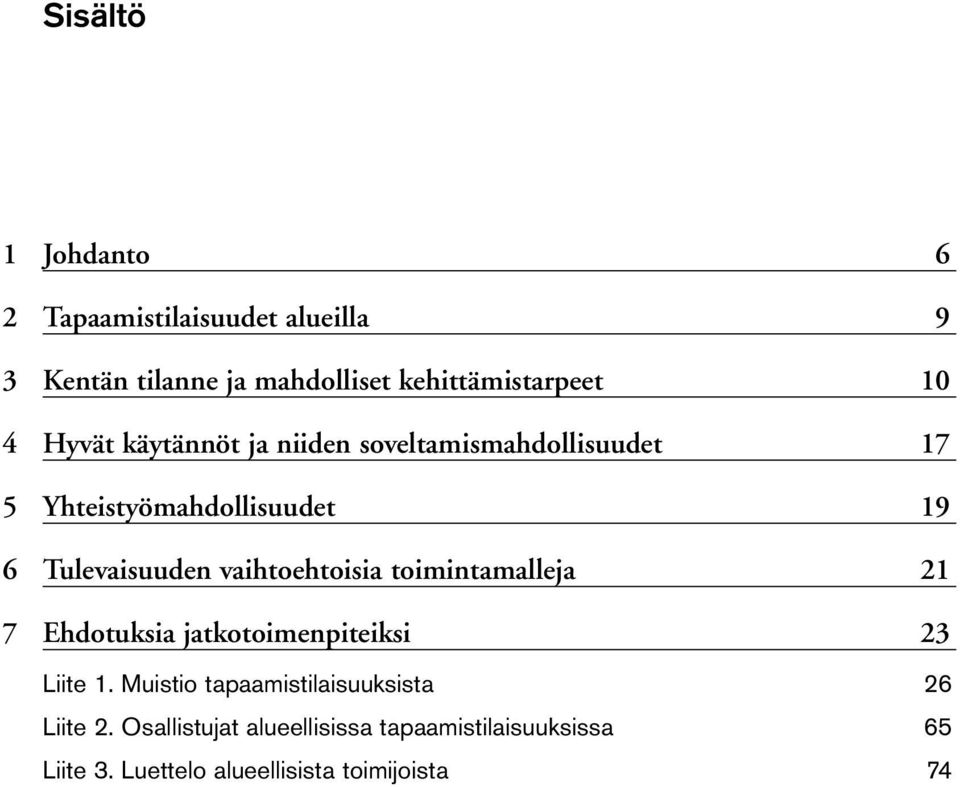 vaihtoehtoisia toimintamalleja 21 7 Ehdotuksia jatkotoimenpiteiksi 23 Liite 1.