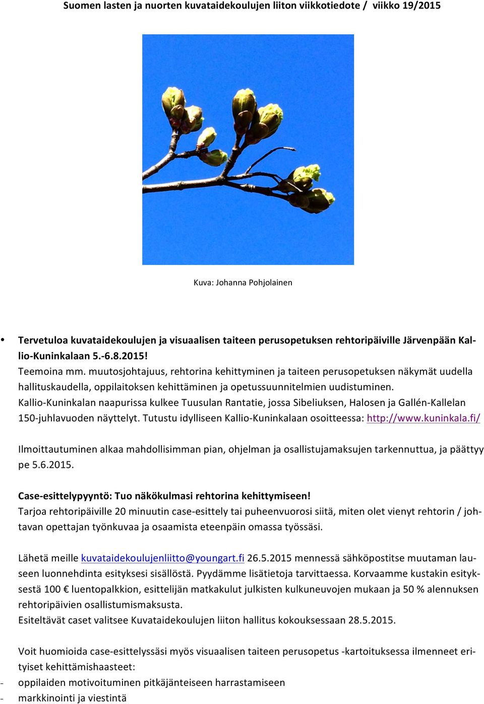 muutosjohtajuus, rehtorina kehittyminen ja taiteen perusopetuksen näkymät uudella hallituskaudella, oppilaitoksen kehittäminen ja opetussuunnitelmien uudistuminen.