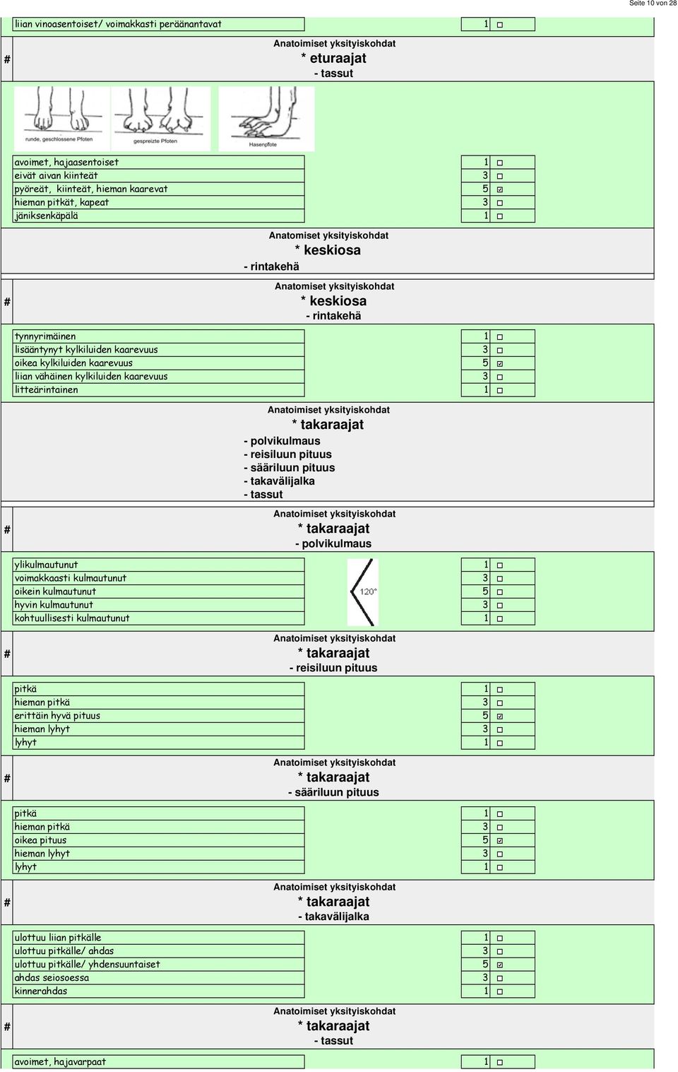 vähäinen kylkiluiden kaarevuus litteärintainen * takaraajat - polvikulmaus - reisiluun pituus - sääriluun pituus - takavälijalka - tassut * takaraajat - polvikulmaus ylikulmautunut voimakkaasti