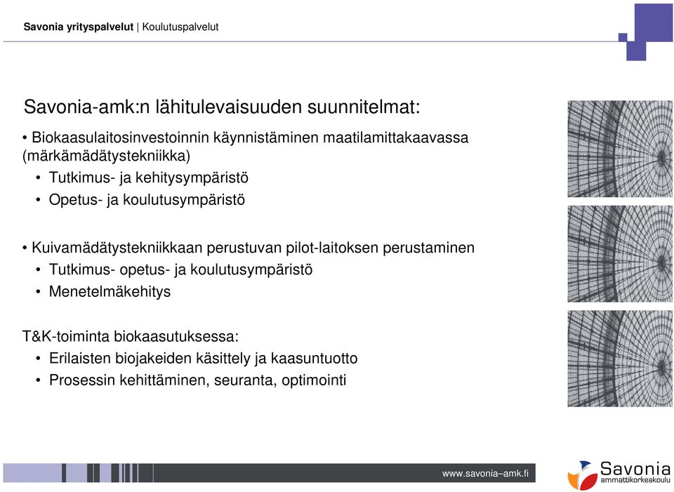 perustuvan pilot-laitoksen perustaminen Tutkimus- opetus- ja koulutusympäristö Menetelmäkehitys T&K-toiminta