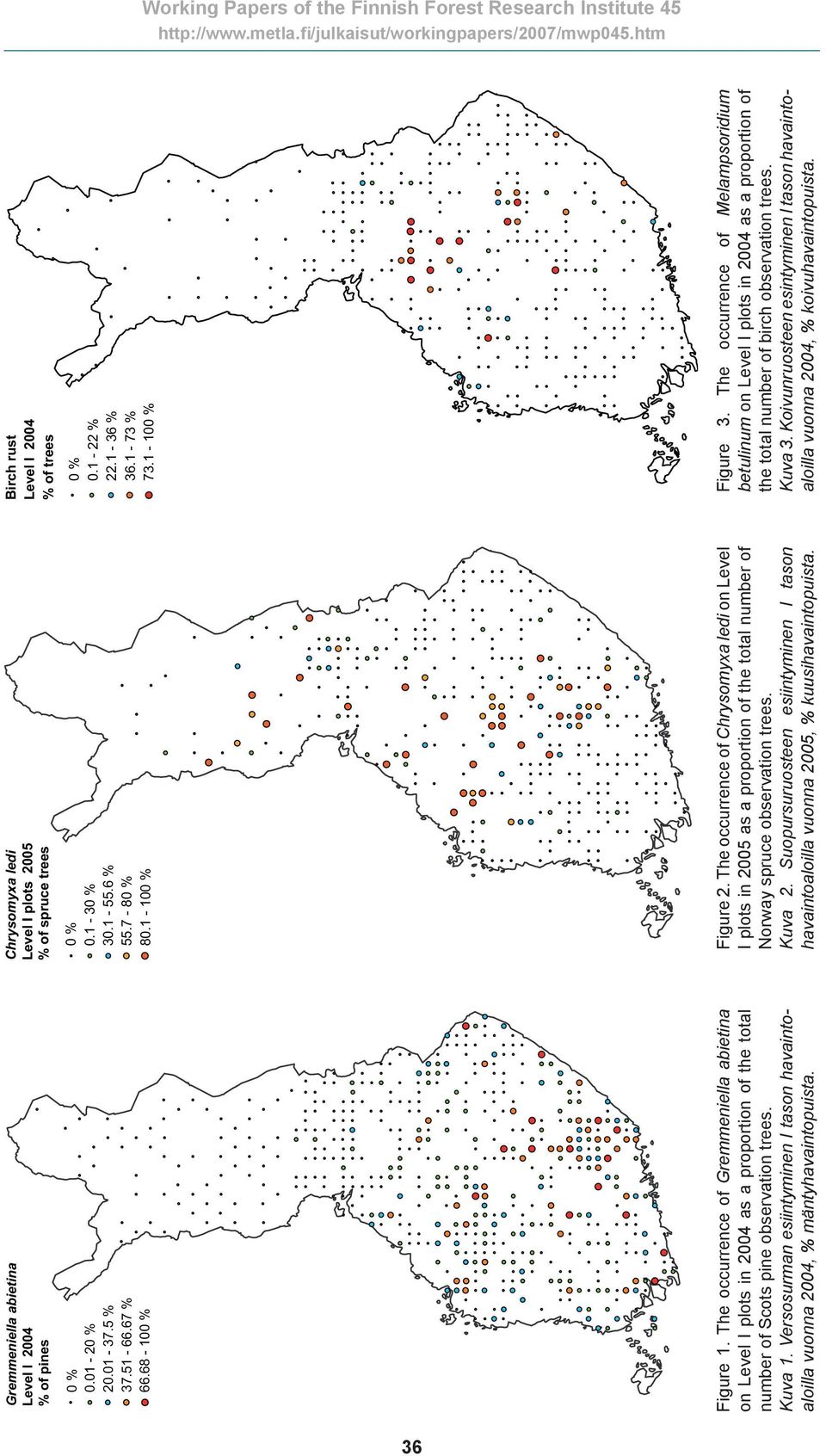 Versosurman esiintyminen I tason havaintoaloilla vuonna 2004, % mäntyhavaintopuista. Chrysomyxa ledi Level I plots 2005 % of spruce trees 0 % 0.1-30 % 30.1-55.6 % 55.7-80 % 80.1-100 % Figure 2.