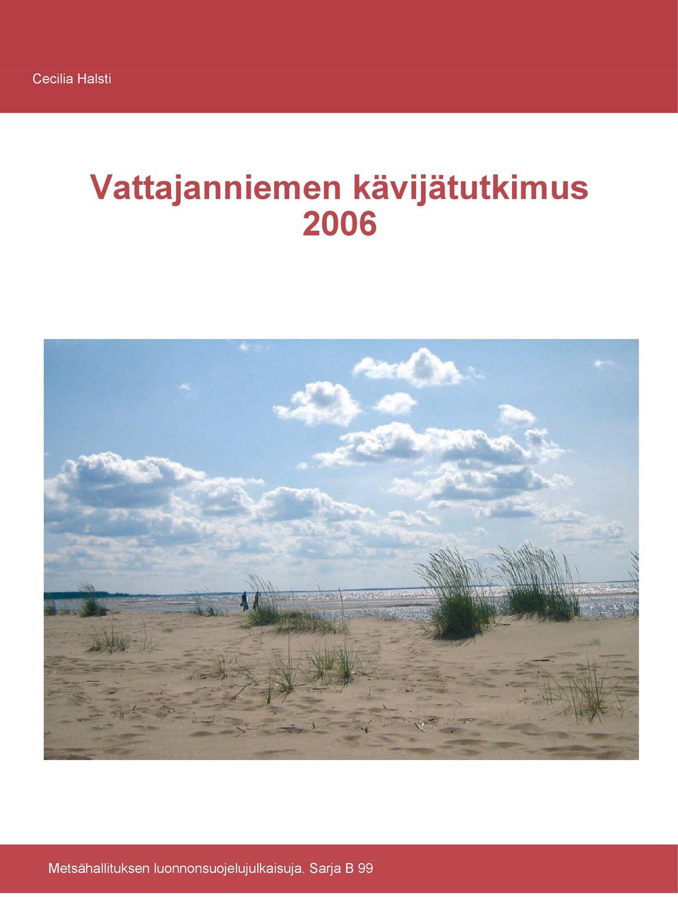 kävijätutkimus 2006