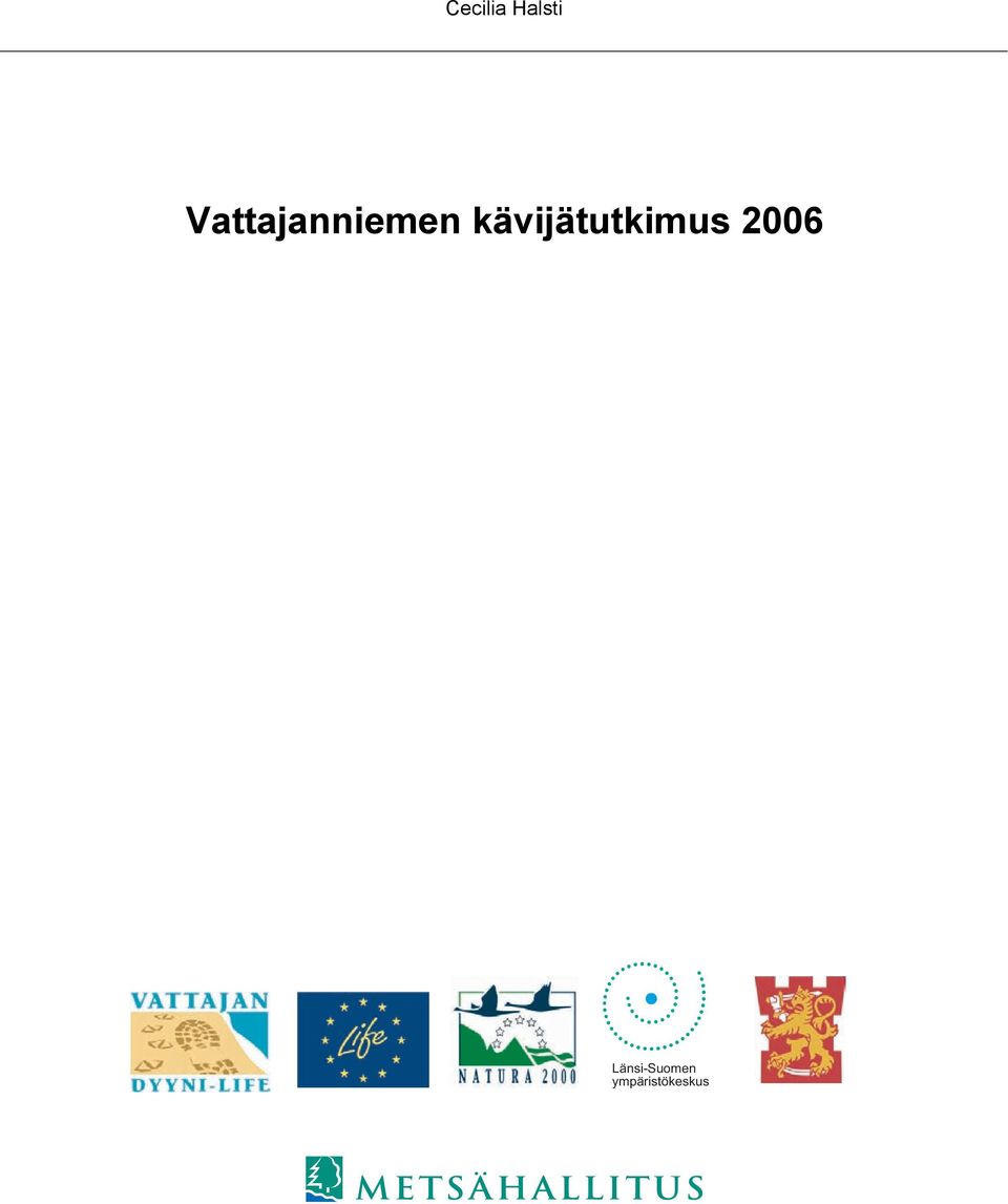 kävijätutkimus 2006