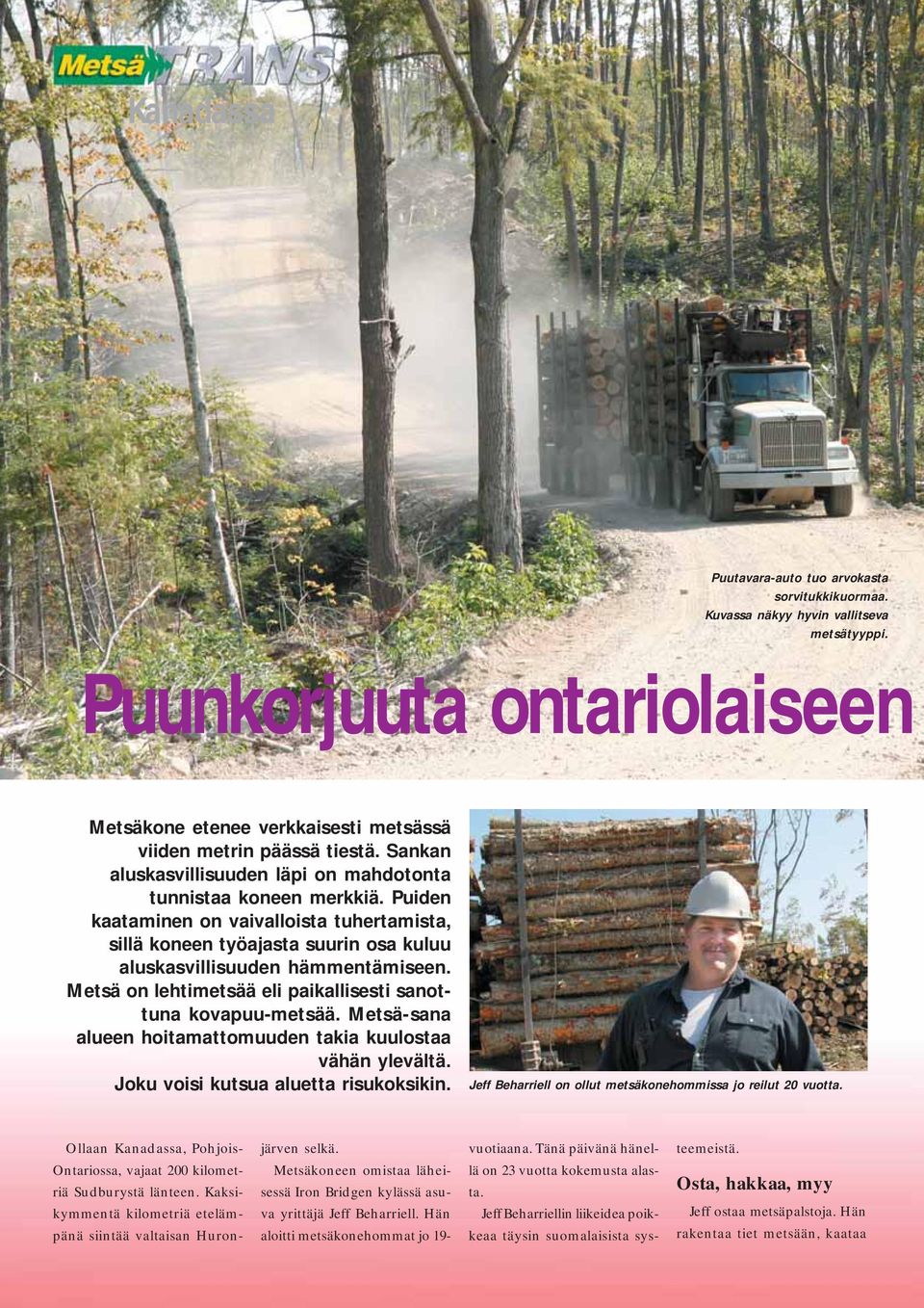 Metsä on lehtimetsää eli paikallisesti sanottuna kovapuu-metsää. Metsä-sana alueen hoitamattomuuden takia kuulostaa vähän ylevältä. Joku voisi kutsua aluetta risukoksikin.