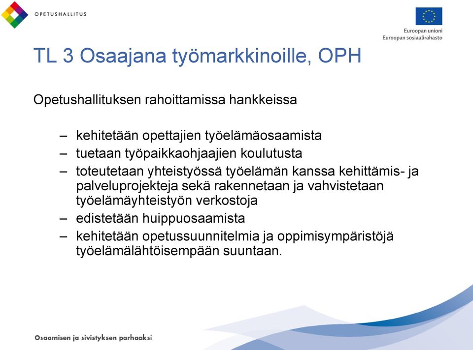 kehittämis- ja palveluprojekteja sekä rakennetaan ja vahvistetaan työelämäyhteistyön verkostoja