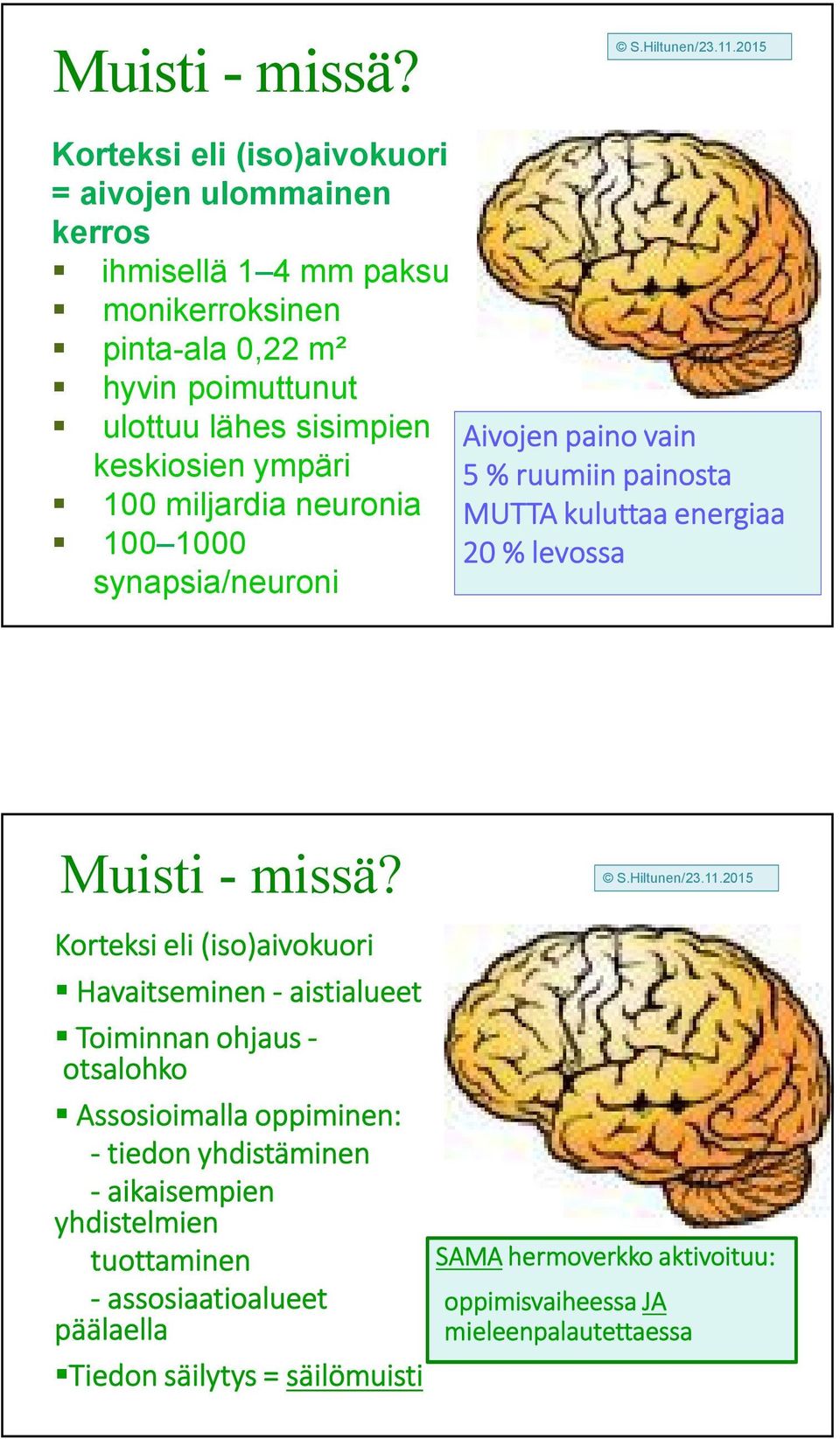 keskiosien ympäri 100 miljardia neuronia 100 1000 synapsia/neuroni Aivojen paino vain 5 % ruumiin painosta MUTTA kuluttaa energiaa 20 % levossa  Korteksi eli