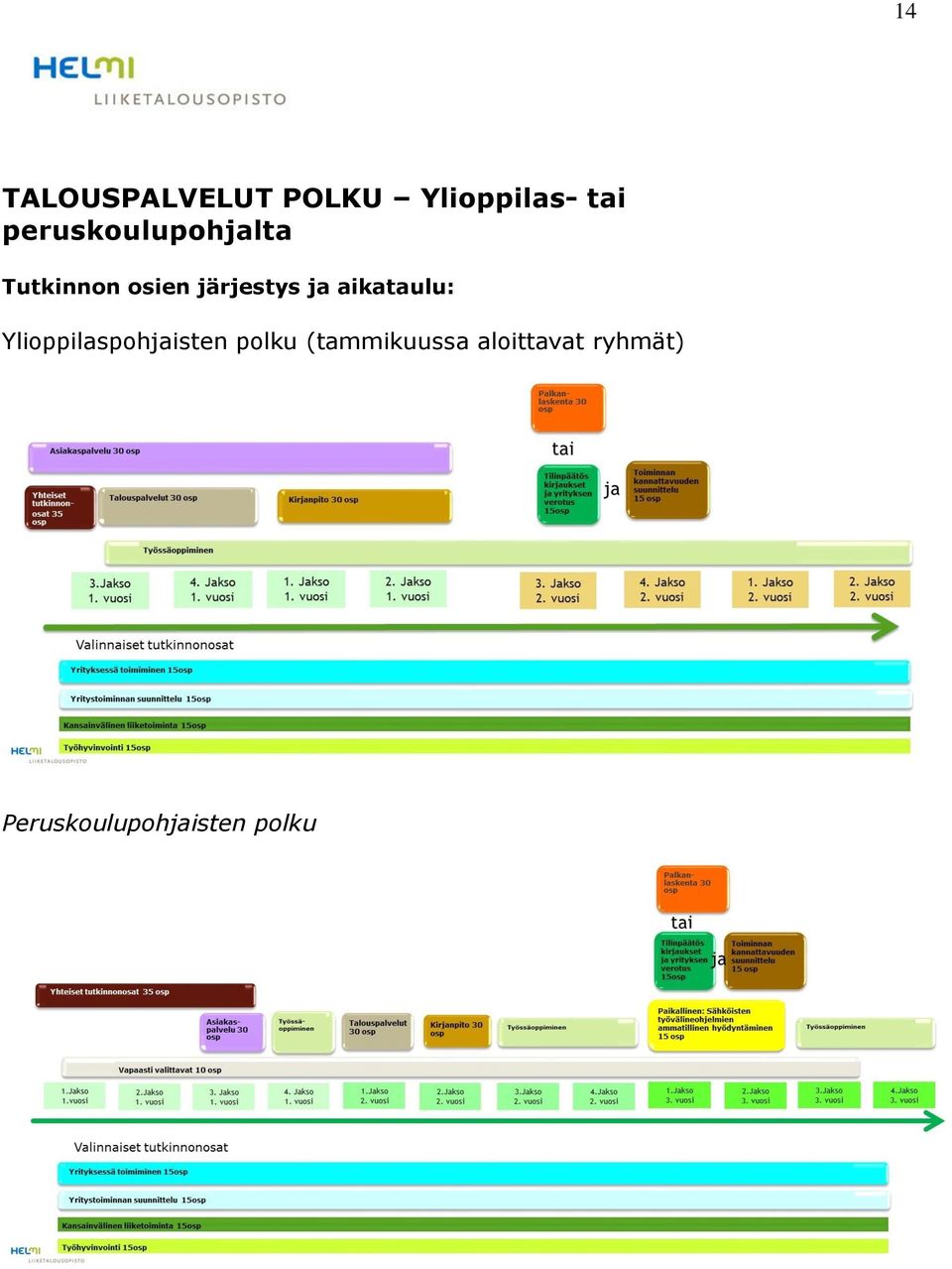 ja aikataulu: Ylioppilaspohjaisten polku