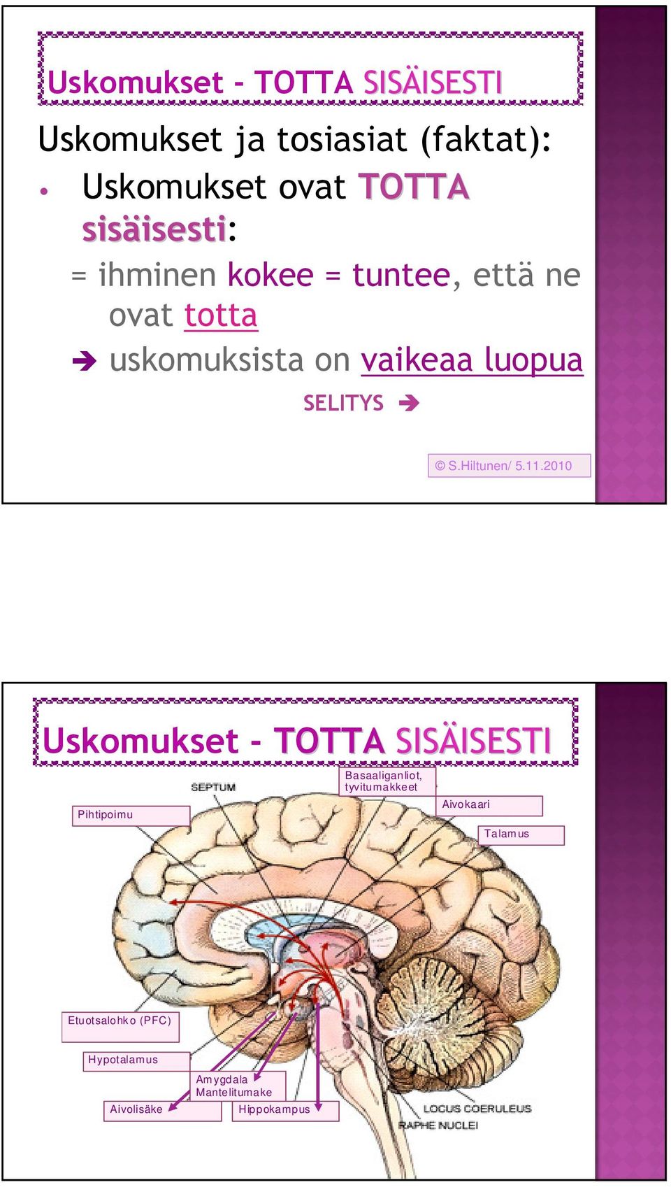 luopua SELITYS Uskomukset - TOTTA SISÄISESTI ISESTI Pihtipoimu Basaaliganliot, tyvitumakkeet