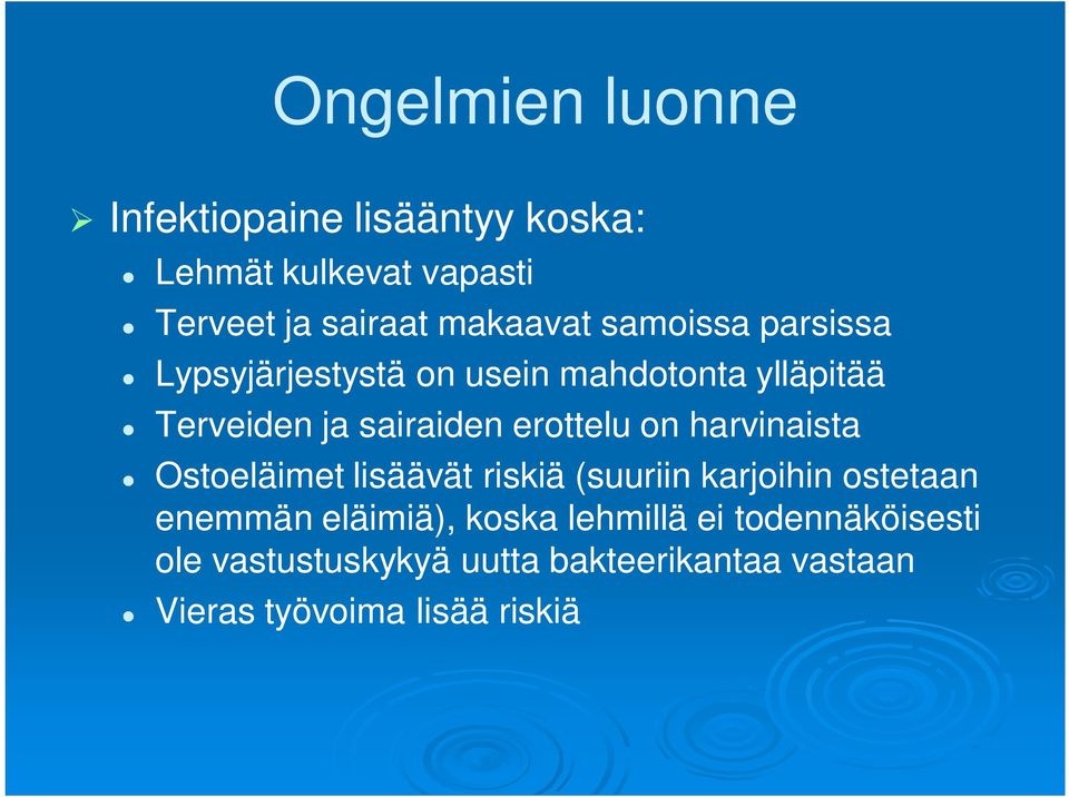 erottelu on harvinaista Ostoeläimet lisäävät riskiä (suuriin karjoihin ostetaan enemmän eläimiä),