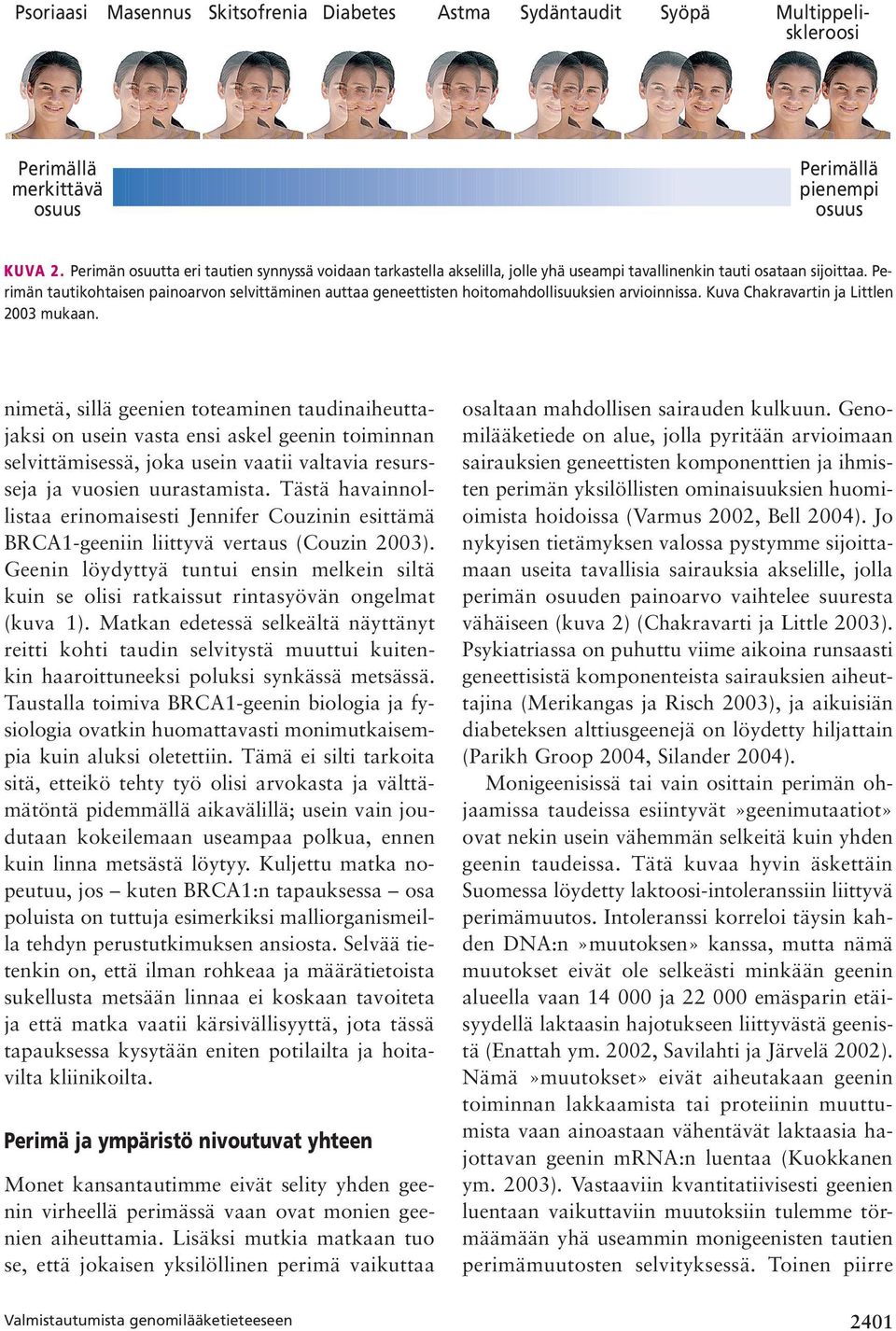 Perimän tautikohtaisen painoarvon selvittäminen auttaa geneettisten hoitomahdollisuuksien arvioinnissa. Kuva Chakravartin ja Littlen 2003 mukaan.