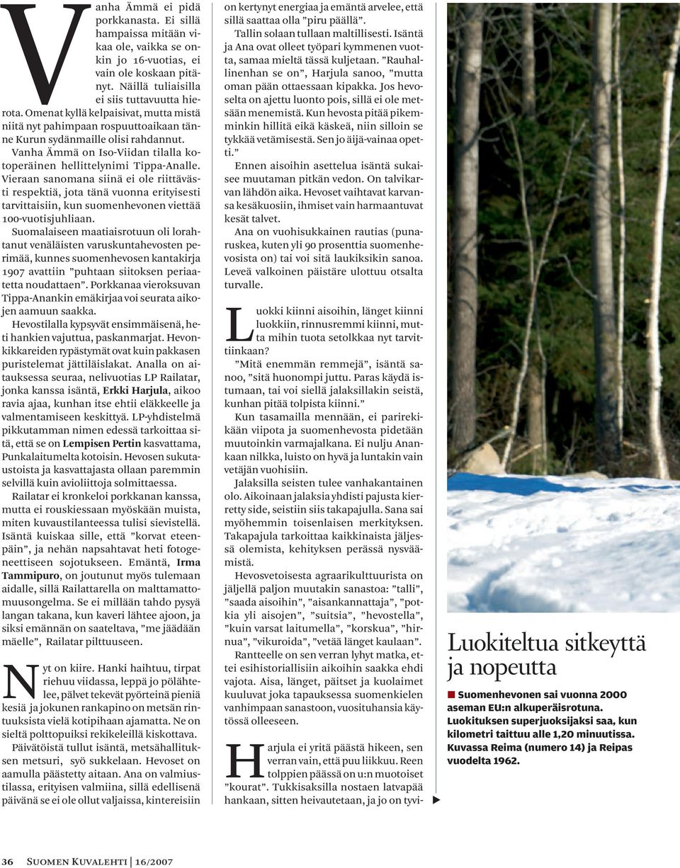 Vieraan sanomana siinä ei ole riittävästi respektiä, jota tänä vuonna erityisesti tarvittaisiin, kun suomenhevonen viettää 100-vuotisjuhliaan.