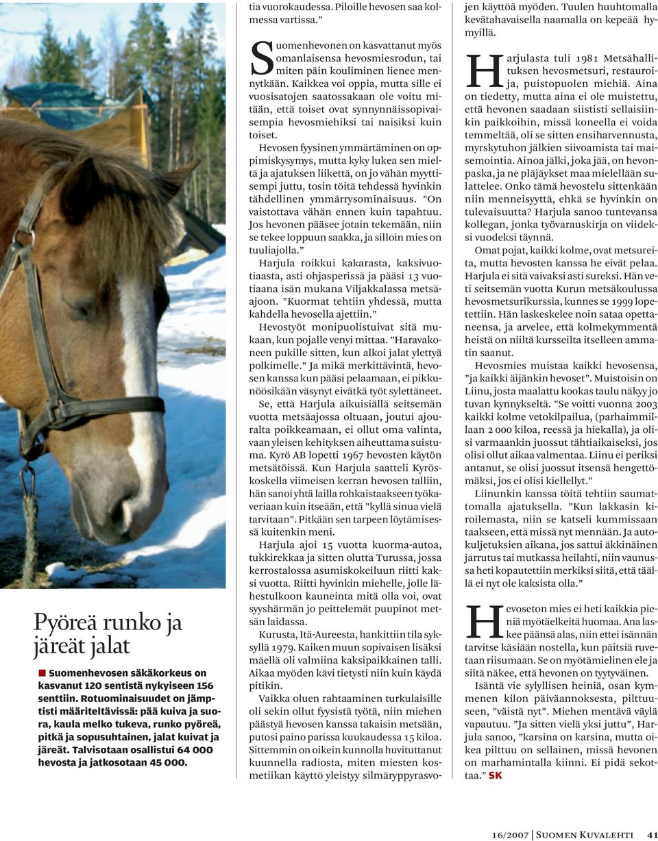 Talvisotaan osallistui 64 000 hevosta ja jatkosotaan 45 000. tia vuorokaudessa. Piloille hevosen saa kolmessa vartissa.
