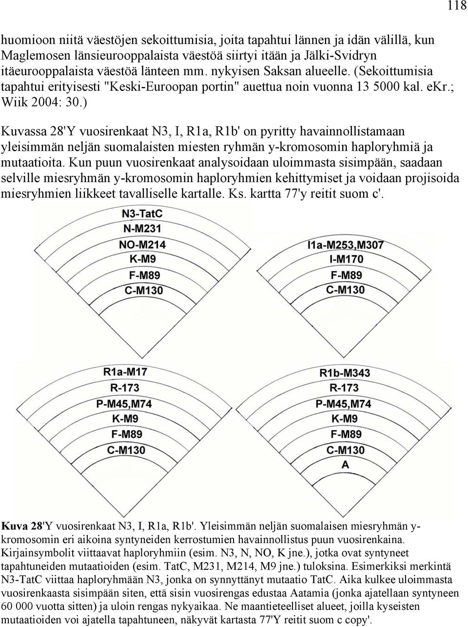 ) Kuvassa 28'Y vuosirenkaat N3, I, R1a, R1b' on pyritty havainnollistamaan yleisimmän neljän suomalaisten miesten ryhmän y-kromosomin haploryhmiä ja mutaatioita.