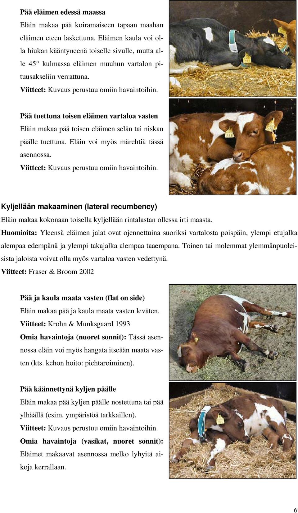 Pää tuettuna toisen eläimen vartaloa vasten Eläin makaa pää toisen eläimen selän tai niskan päälle tuettuna. Eläin voi myös märehtiä tässä asennossa. Viitteet: Kuvaus perustuu omiin havaintoihin.