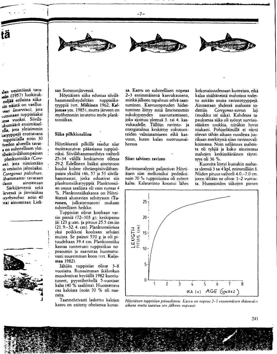 Coregonus pidschran, âhammasta) tavataan dassa ainoastaan Sârkijârvessà sekâ :ârvessâ ja jârvisiikaa ayrbynchus. nom 40 sta) ainoastaan Liek- san Suomunjârvessà.