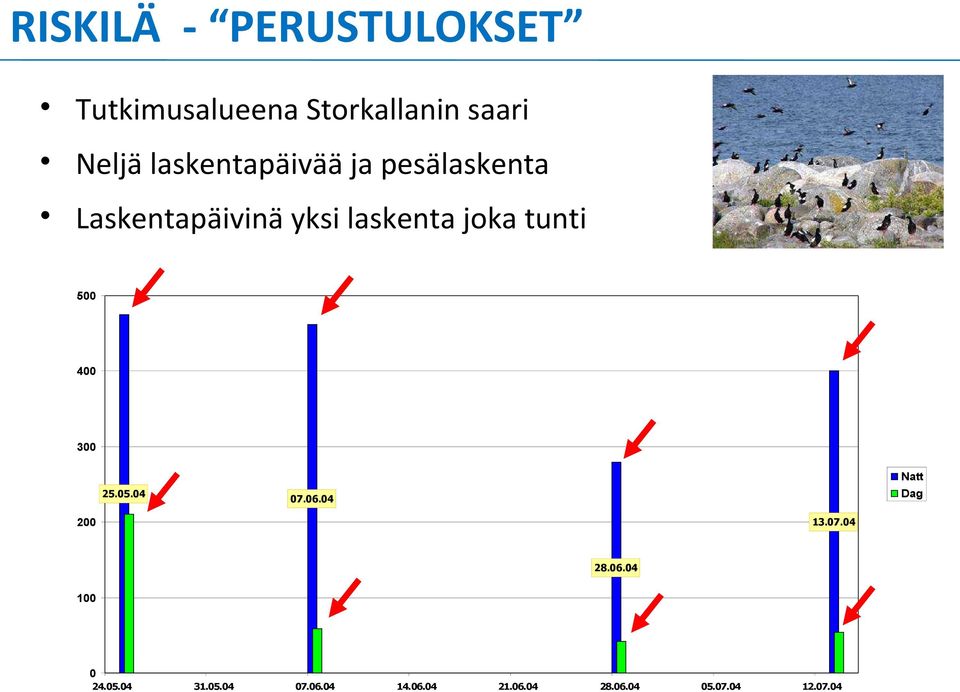 tunti 500 400 300 25.05.04 07.06.04 Natt Dag 200 13.07.04 28.06.04 100 0 24.