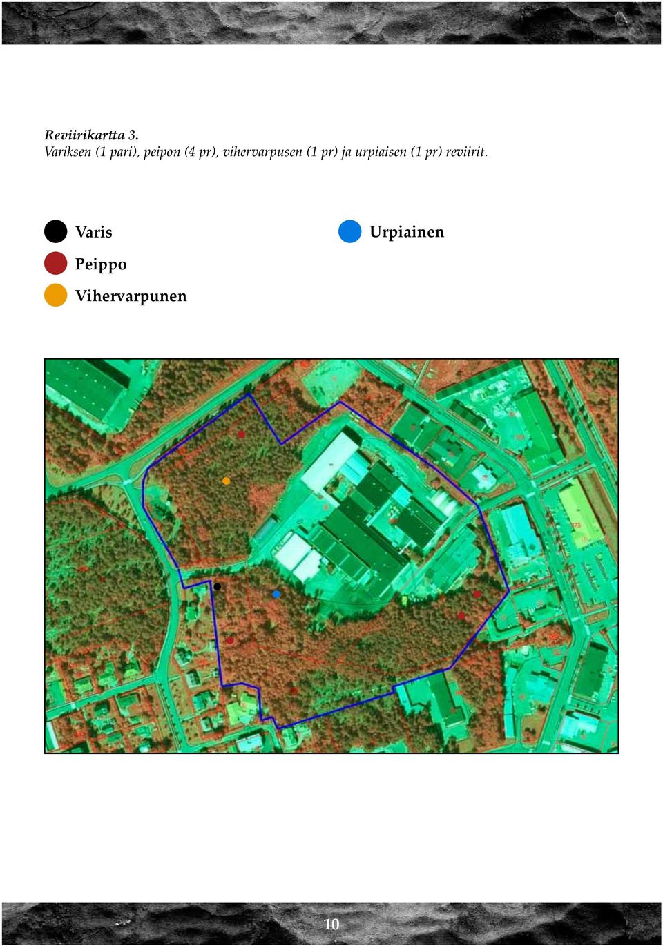 vihervarpusen (1 pr) ja urpiaisen
