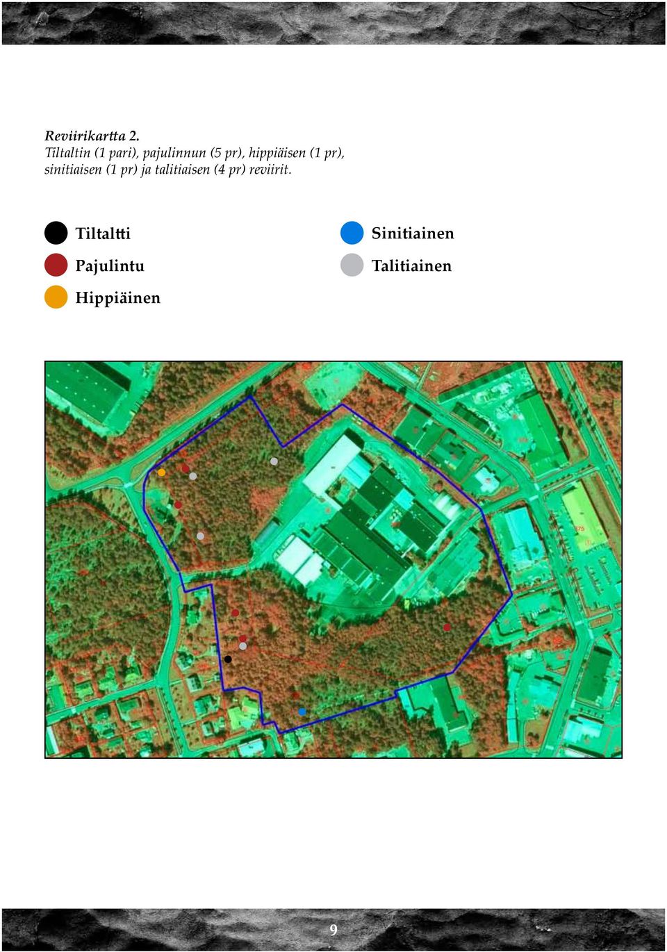 hippiäisen (1 pr), sinitiaisen (1 pr) ja