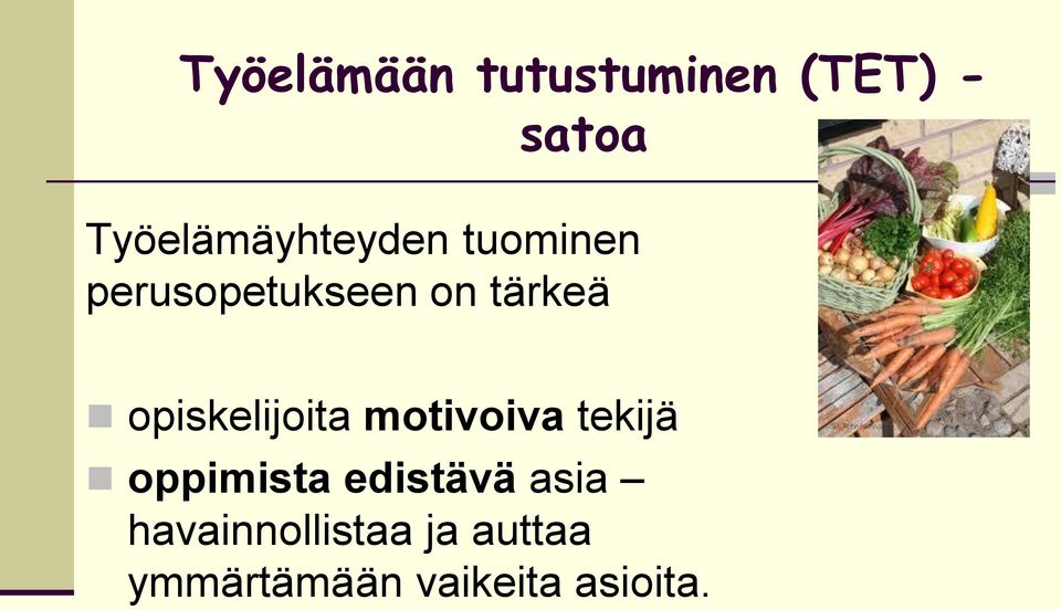 tärkeä opiskelijoita motivoiva tekijä oppimista