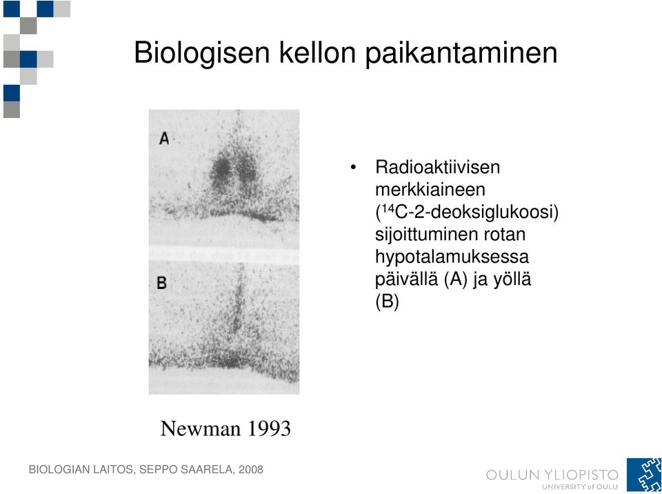 C-2-deoksiglukoosi) sijoittuminen rotan