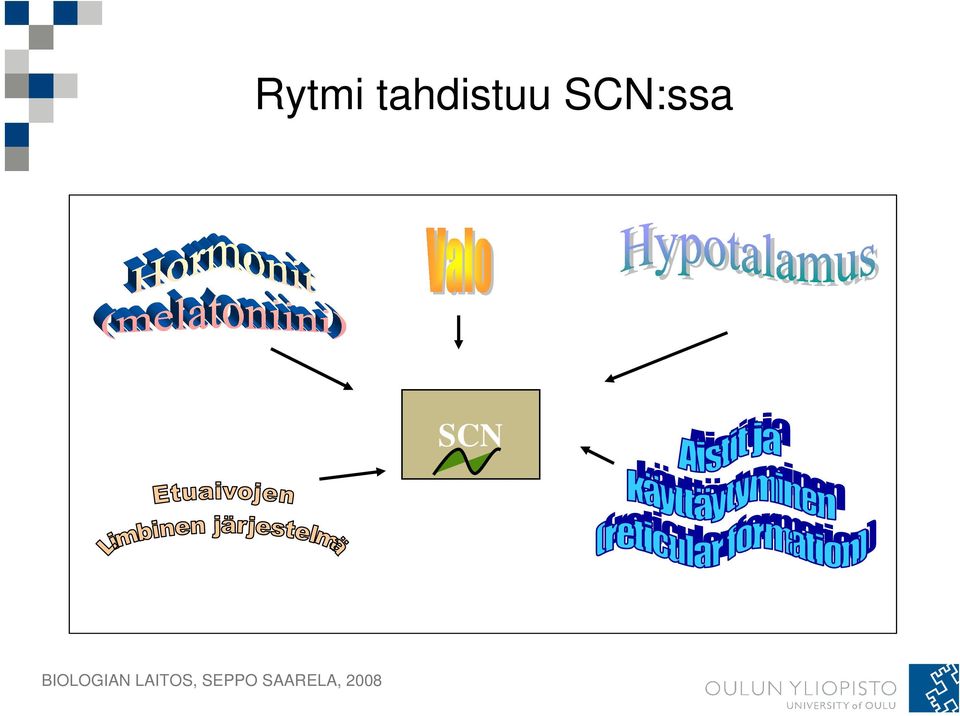SCN:ssa