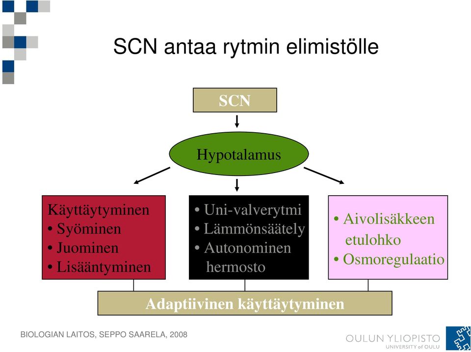 Uni-valverytmi Lämmönsäätely Autonominen hermosto