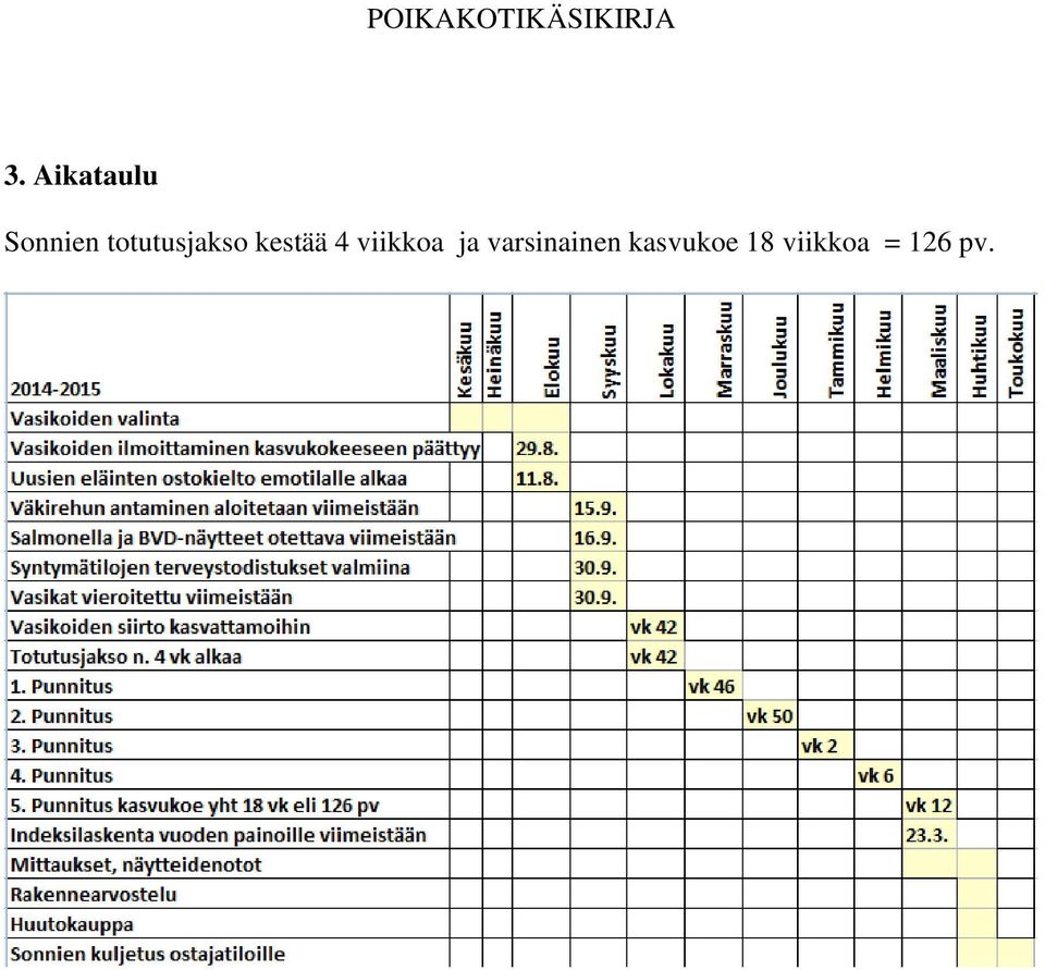 viikkoa ja varsinainen