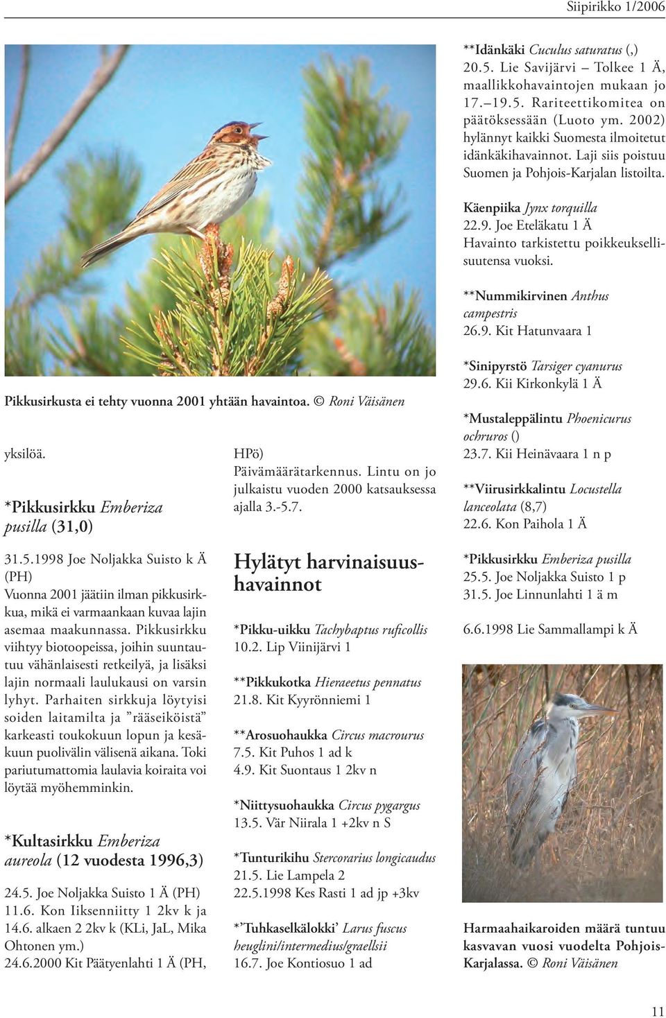 Joe Eteläkatu 1 Ä Havainto tarkistettu poikkeuksellisuutensa vuoksi. **Nummikirvinen Anthus campestris 26.9. Kit Hatunvaara 1 Pikkusirkusta ei tehty vuonna 2001 yhtään havaintoa.