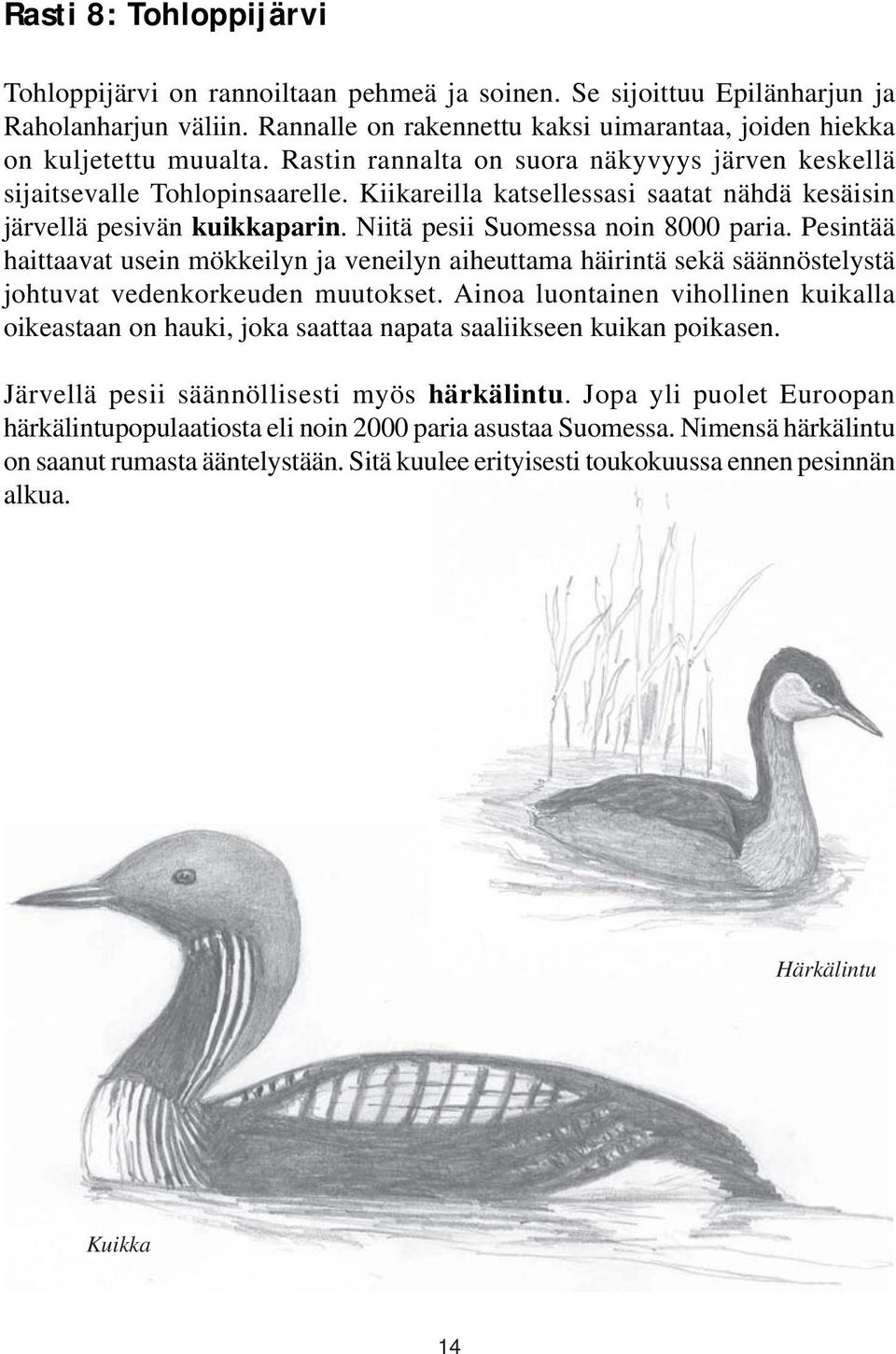 Pesintää haittaavat usein mökkeilyn ja veneilyn aiheuttama häirintä sekä säännöstelystä johtuvat vedenkorkeuden muutokset.