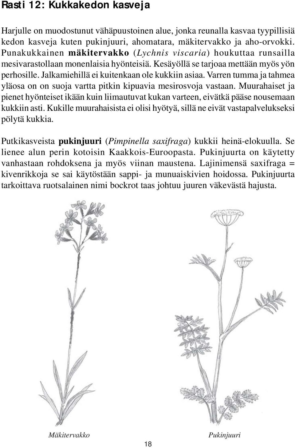 Jalkamiehillä ei kuitenkaan ole kukkiin asiaa. Varren tumma ja tahmea yläosa on on suoja vartta pitkin kipuavia mesirosvoja vastaan.