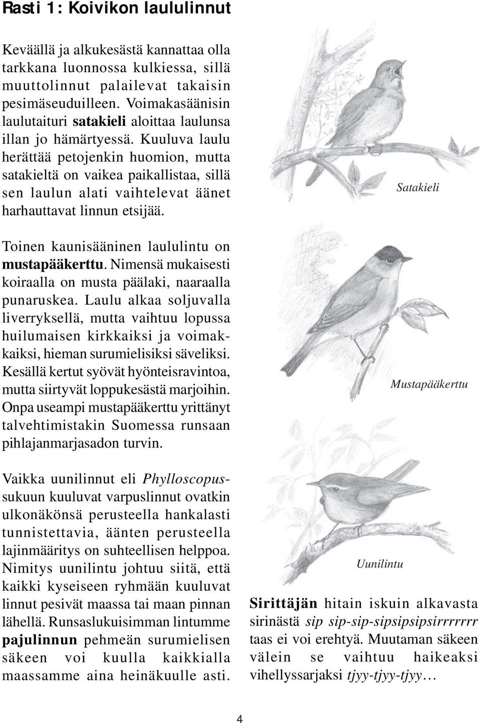 Kuuluva laulu herättää petojenkin huomion, mutta satakieltä on vaikea paikallistaa, sillä sen laulun alati vaihtelevat äänet harhauttavat linnun etsijää.