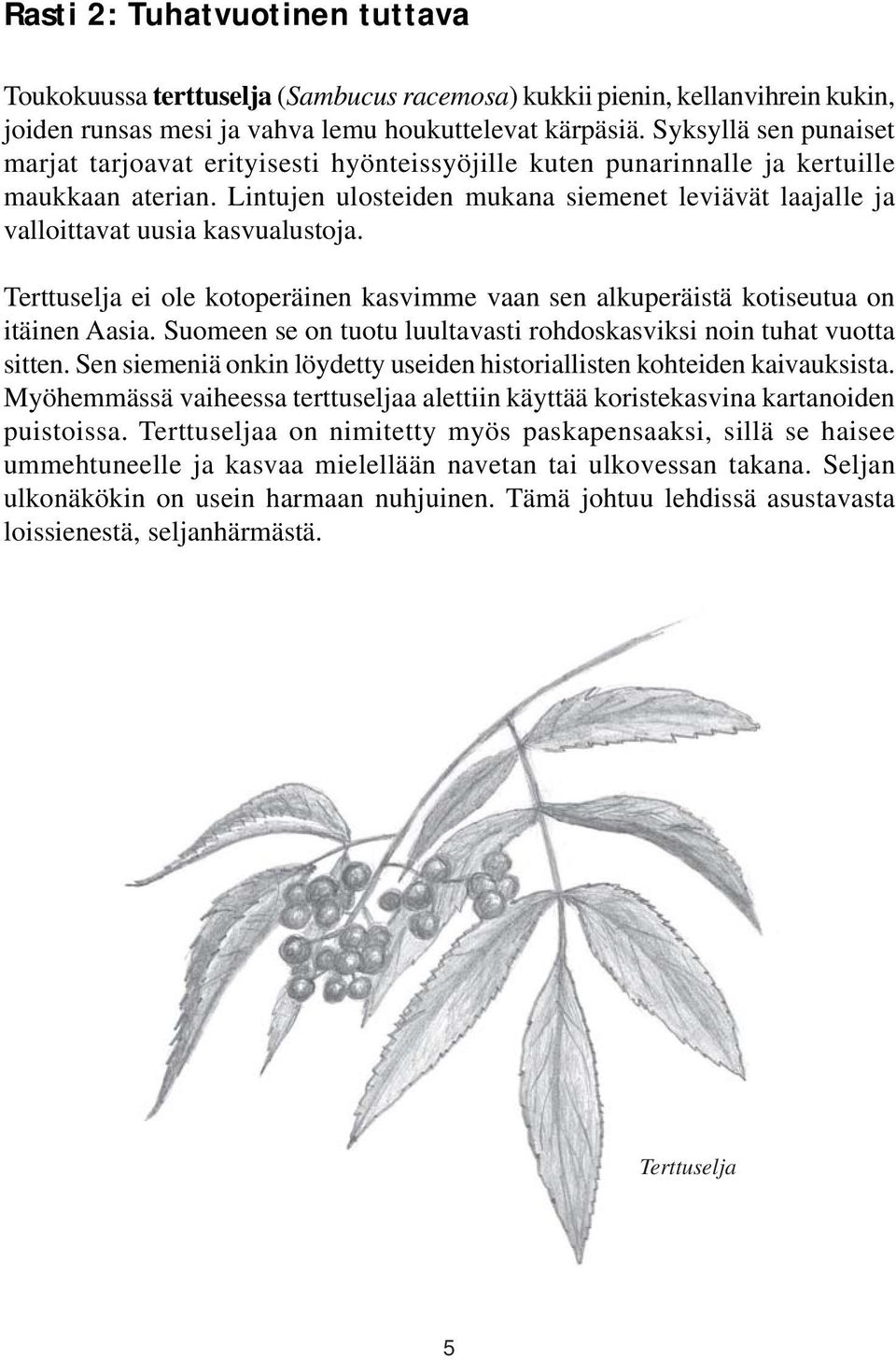 Lintujen ulosteiden mukana siemenet leviävät laajalle ja valloittavat uusia kasvualustoja. Terttuselja ei ole kotoperäinen kasvimme vaan sen alkuperäistä kotiseutua on itäinen Aasia.