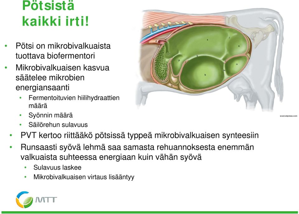 energiansaanti Fermentoituvien hiilihydraattien määrä Syönnin määrä Säilörehun sulavuus PVT kertoo