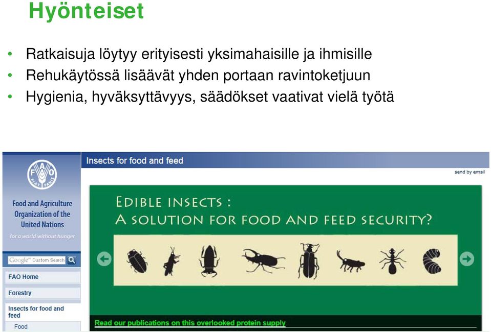 lisäävät yhden portaan ravintoketjuun