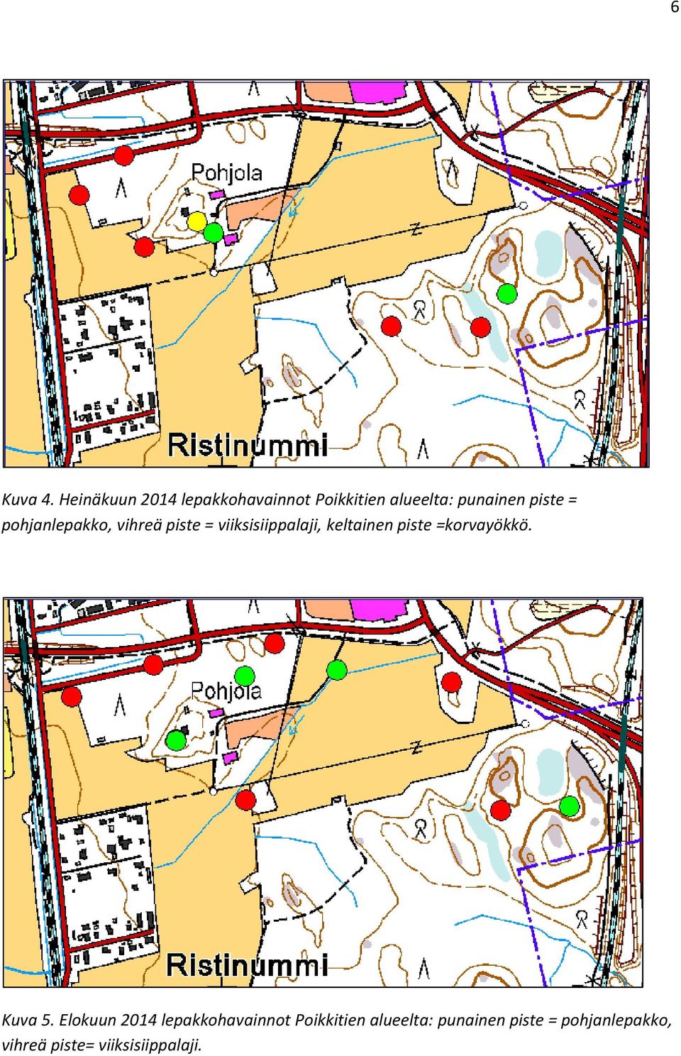 pohjanlepakko, vihreä piste = viiksisiippalaji, keltainen piste