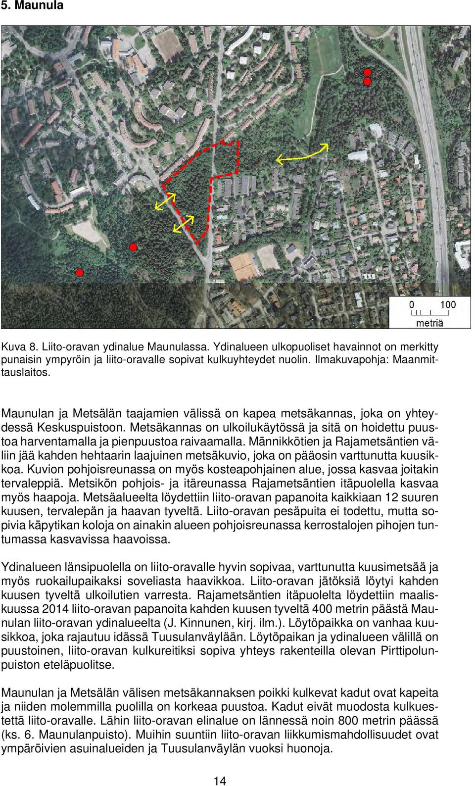 Männikkötien ja Rajametsäntien väliin jää kahden hehtaarin laajuinen metsäkuvio, joka on pääosin varttunutta kuusikkoa.