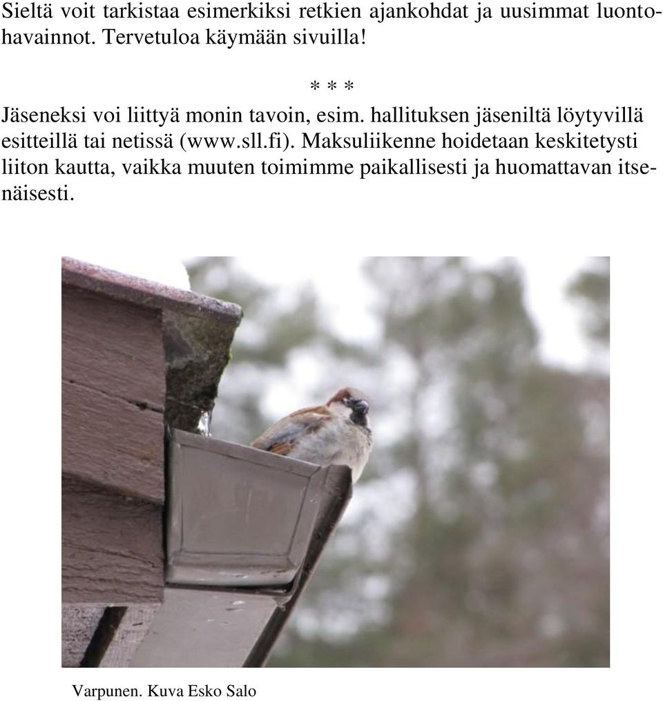 hallituksen jäseniltä löytyvillä esitteillä tai netissä (www.sll.fi).