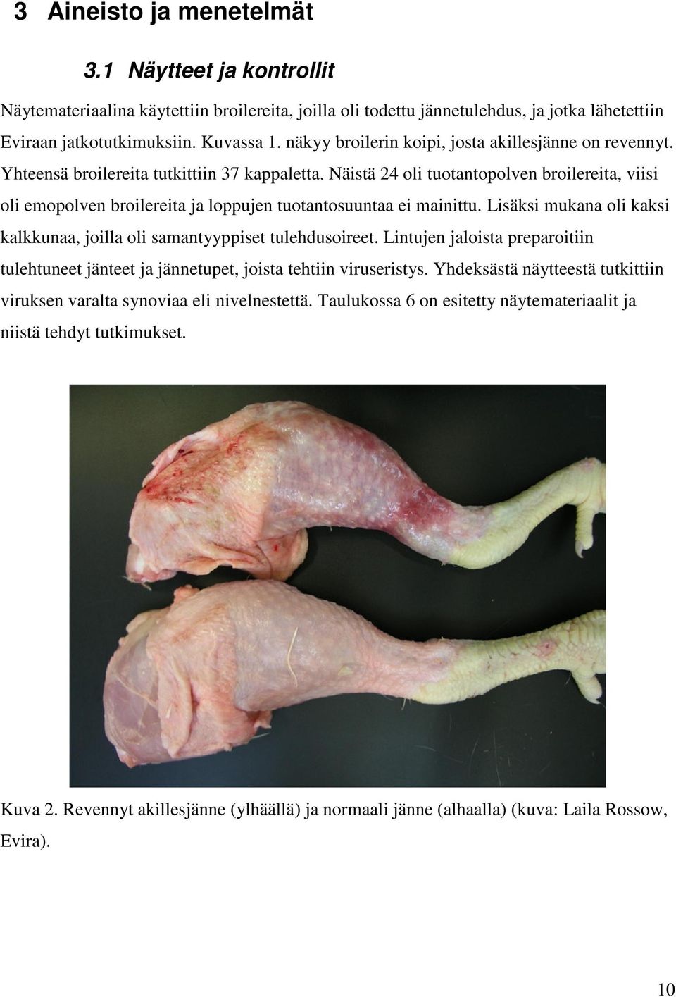 Näistä 24 oli tuotantopolven broilereita, viisi oli emopolven broilereita ja loppujen tuotantosuuntaa ei mainittu. Lisäksi mukana oli kaksi kalkkunaa, joilla oli samantyyppiset tulehdusoireet.