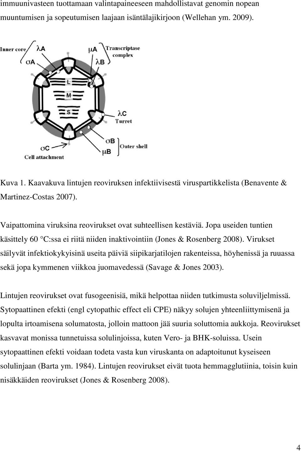 Jopa useiden tuntien käsittely 60 C:ssa ei riitä niiden inaktivointiin (Jones & Rosenberg 2008).