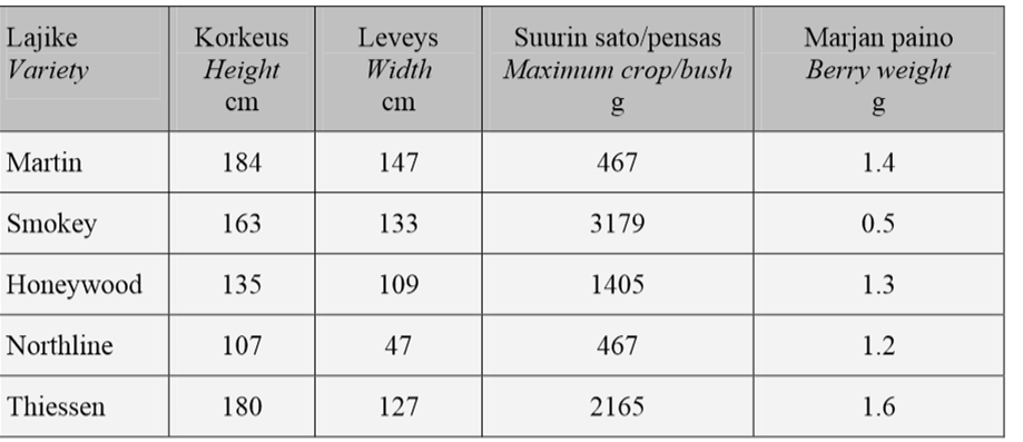 15 heinäkuun lopussa muuttuen punertavista raakileista tummansinisiksi. Syksyllä saskatoonin lehdet vaihtavat värinsä vaihdellen keltaiseen ja punaiseen. (Piippo 2010, 157.