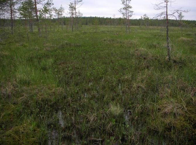 Kuvaussuunta länteen. Kuva 2.