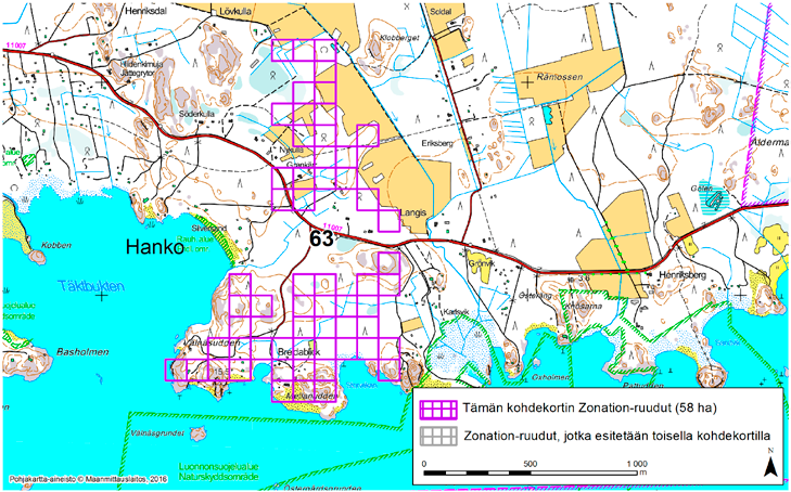 Hanko, Zonation-aluetunnus 63 HANKO (63) Alue sijaitsee Hankoniemen eteläreunassa Täktomin Breidablickin alueella.