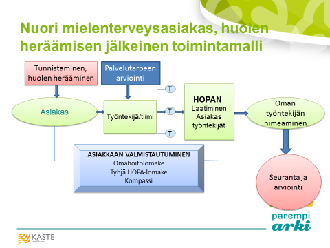 Ammattilaiset ja asiakkaat näkevät palveluiden jalkauttamisen lähelle ihmisten arkea tärkeänä (esim. kotikäynnit, palvelupisteet asuinalueilla ja ostoskeskuksissa).